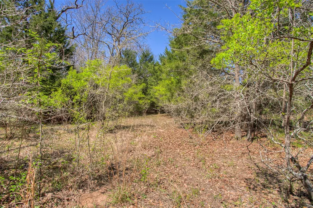 County Road 482 Normangee, TX 77871