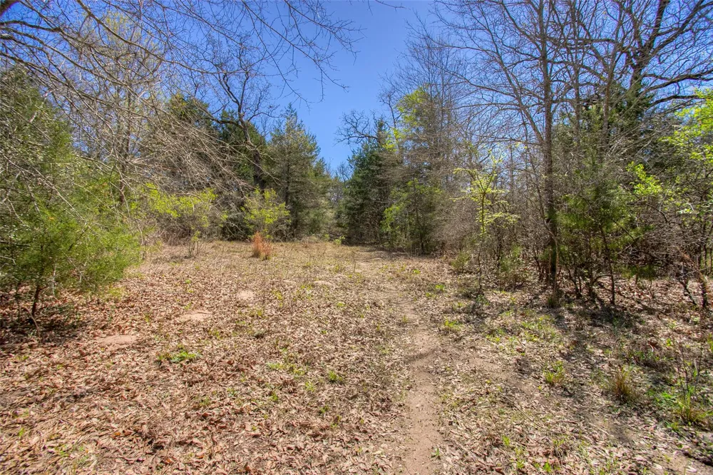 County Road 482 Normangee, TX 77871