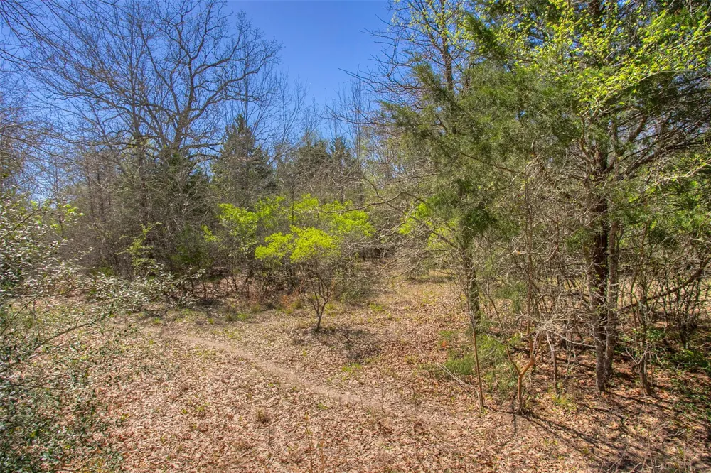 County Road 482 Normangee, TX 77871
