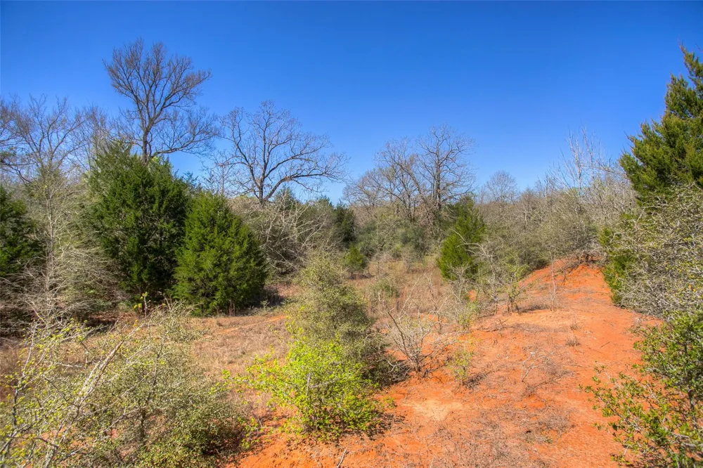 County Road 482 Normangee, TX 77871