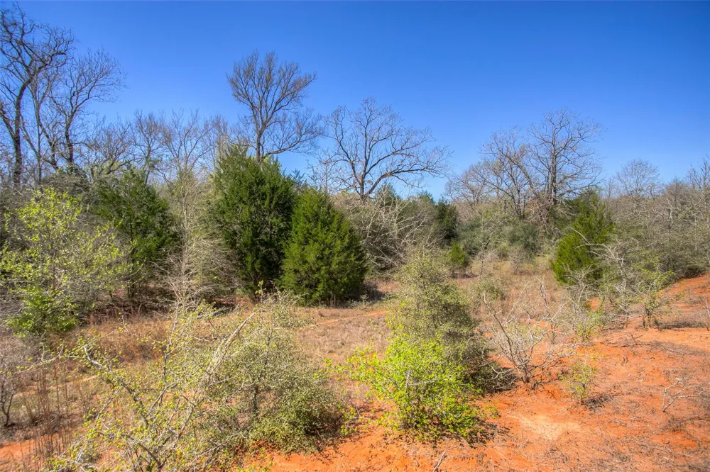 County Road 482 Normangee, TX 77871