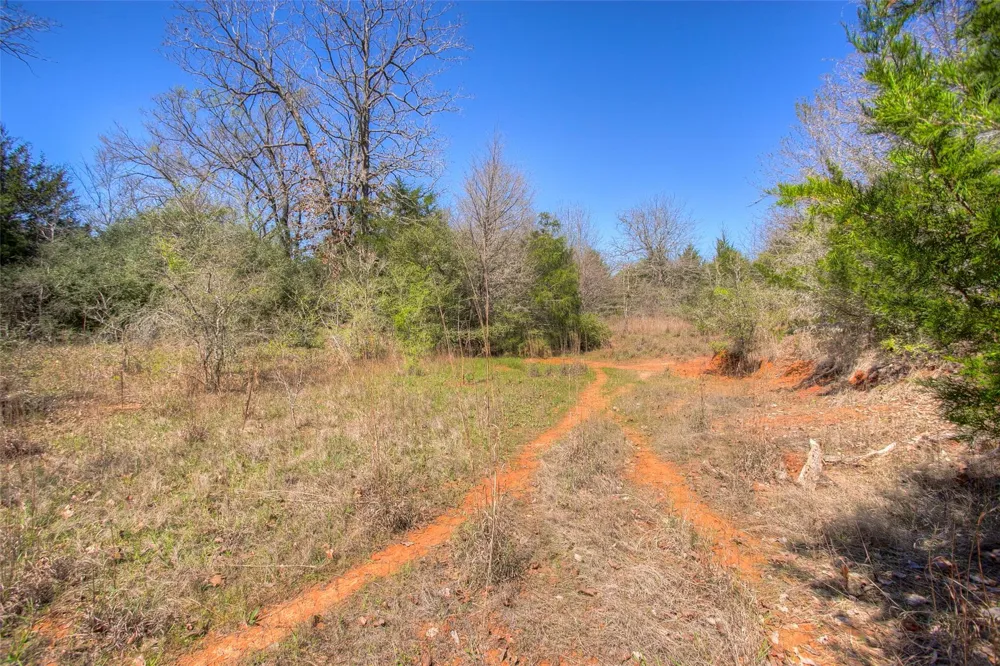 County Road 482 Normangee, TX 77871