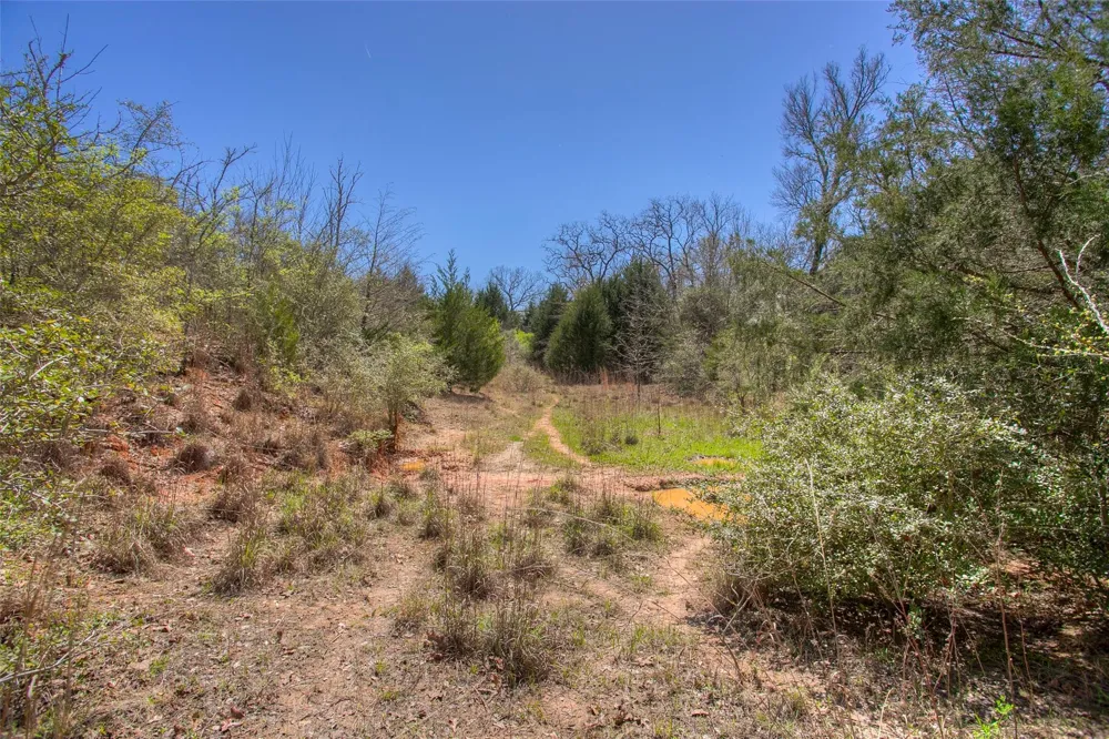 County Road 482 Normangee, TX 77871