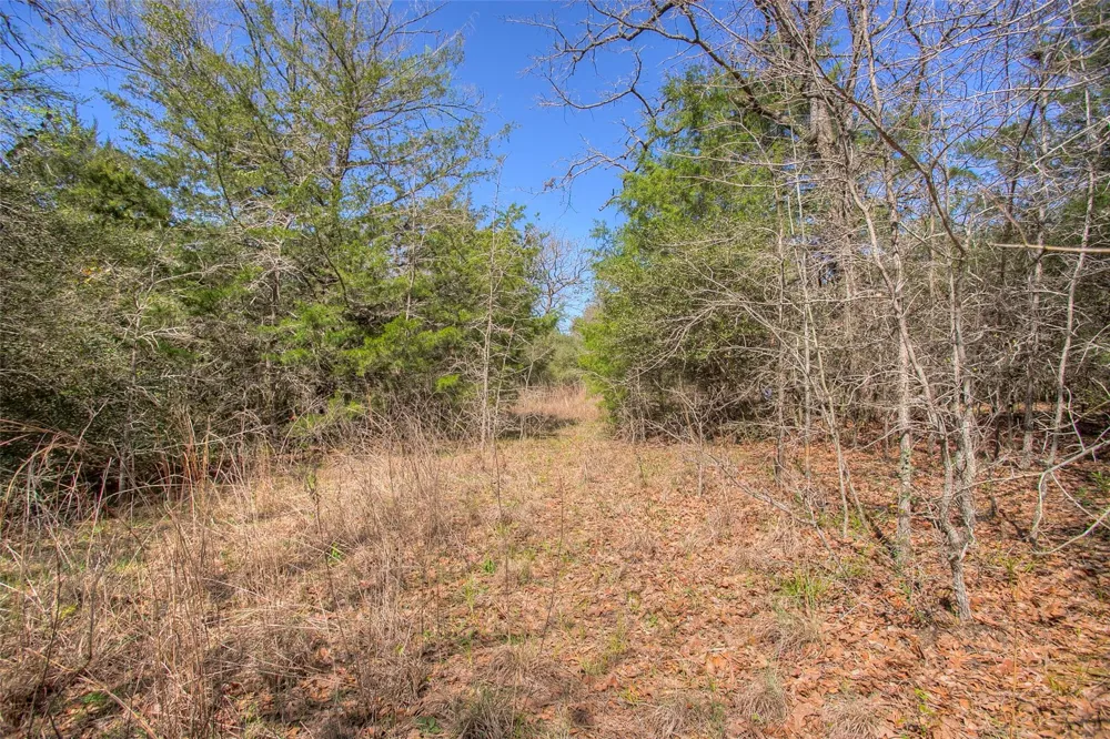 County Road 482 Normangee, TX 77871