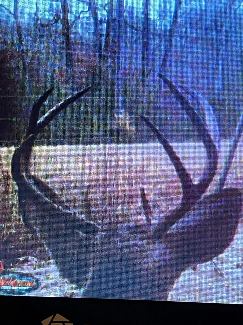 County Road 482 Normangee, TX 77871