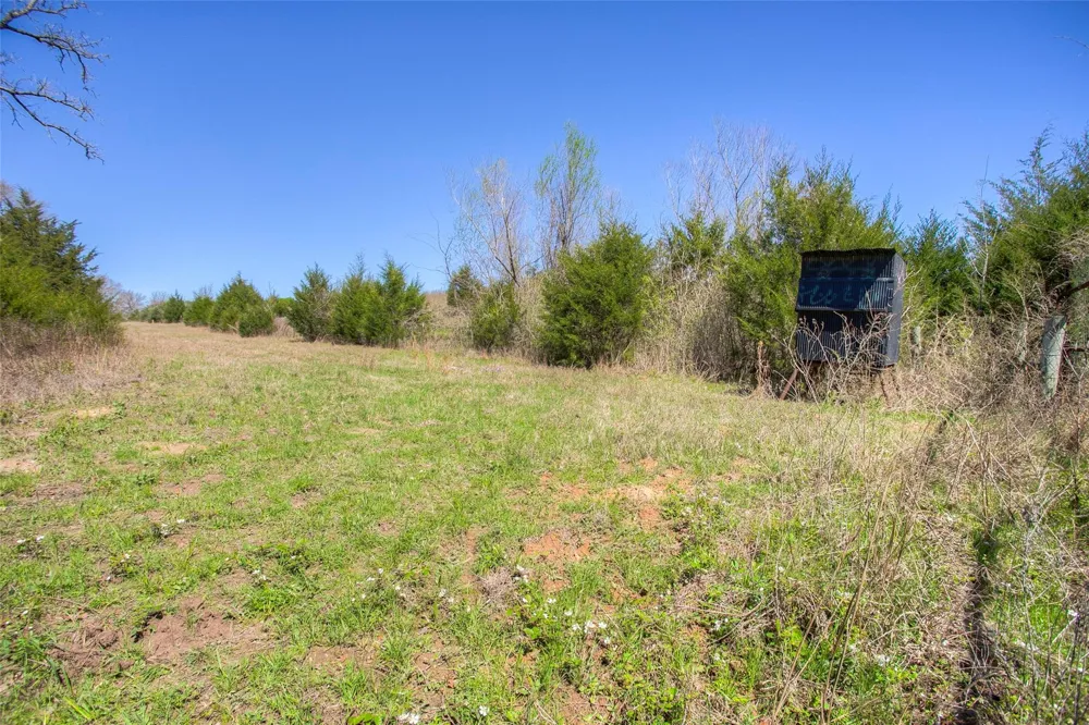 County Road 482 Normangee, TX 77871