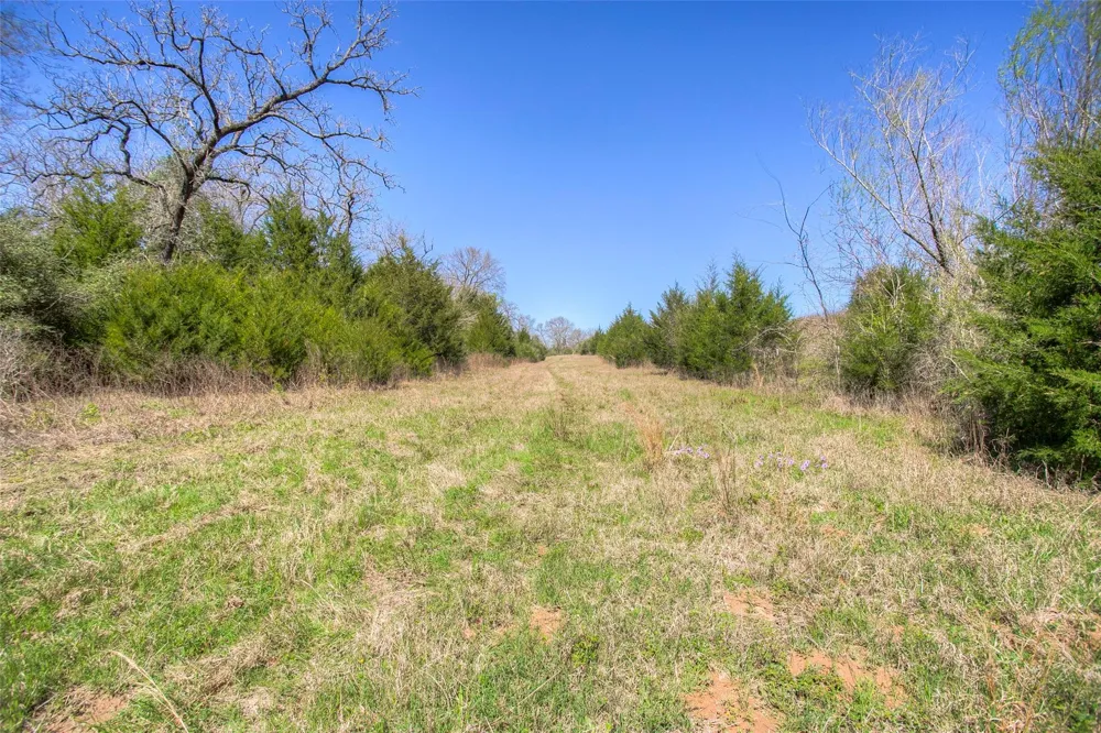County Road 482 Normangee, TX 77871