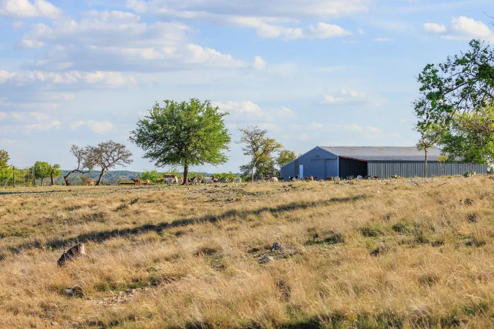 7158 S Us Hwy 87 Fredericksburg, TX 78624