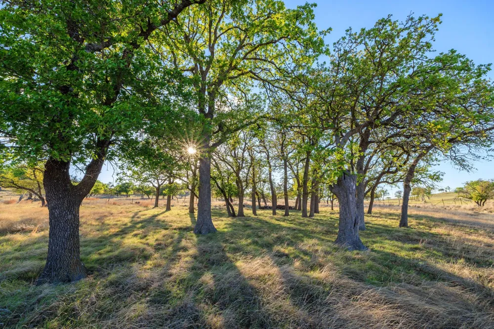 7158 S Us Hwy 87 Fredericksburg, TX 78624