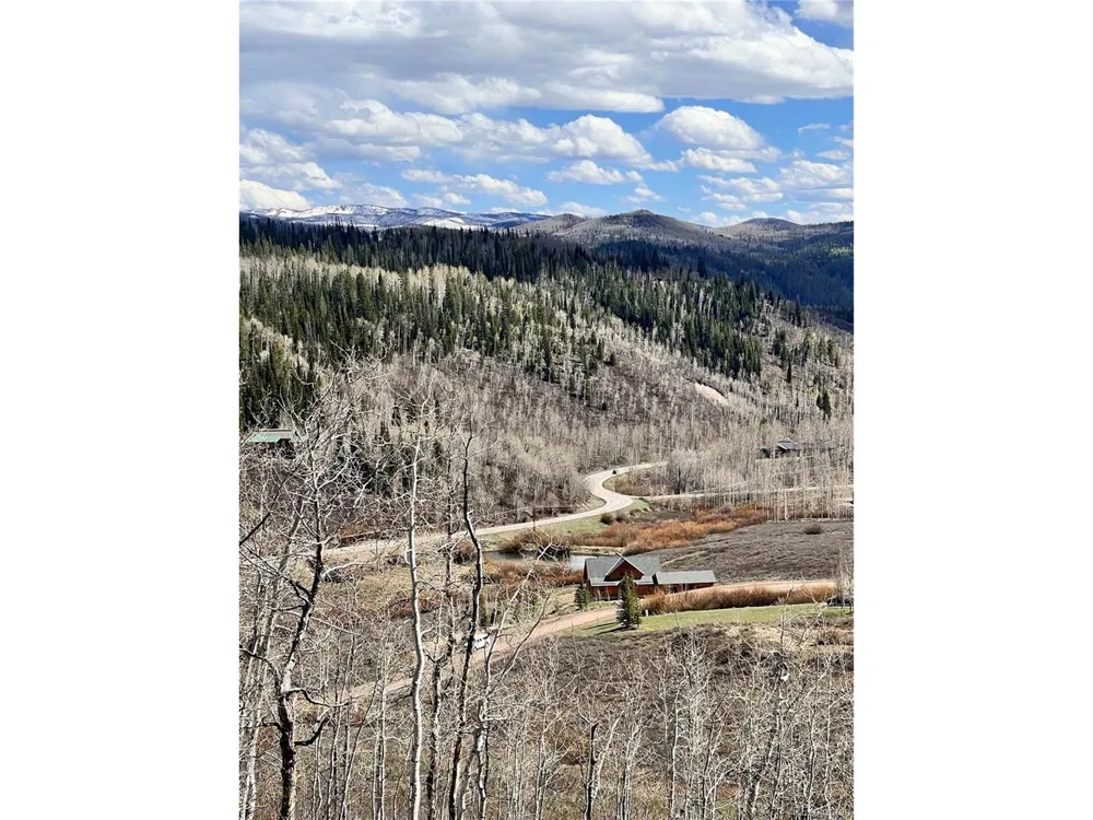 57960 Longfellow Way Clark, CO 80428