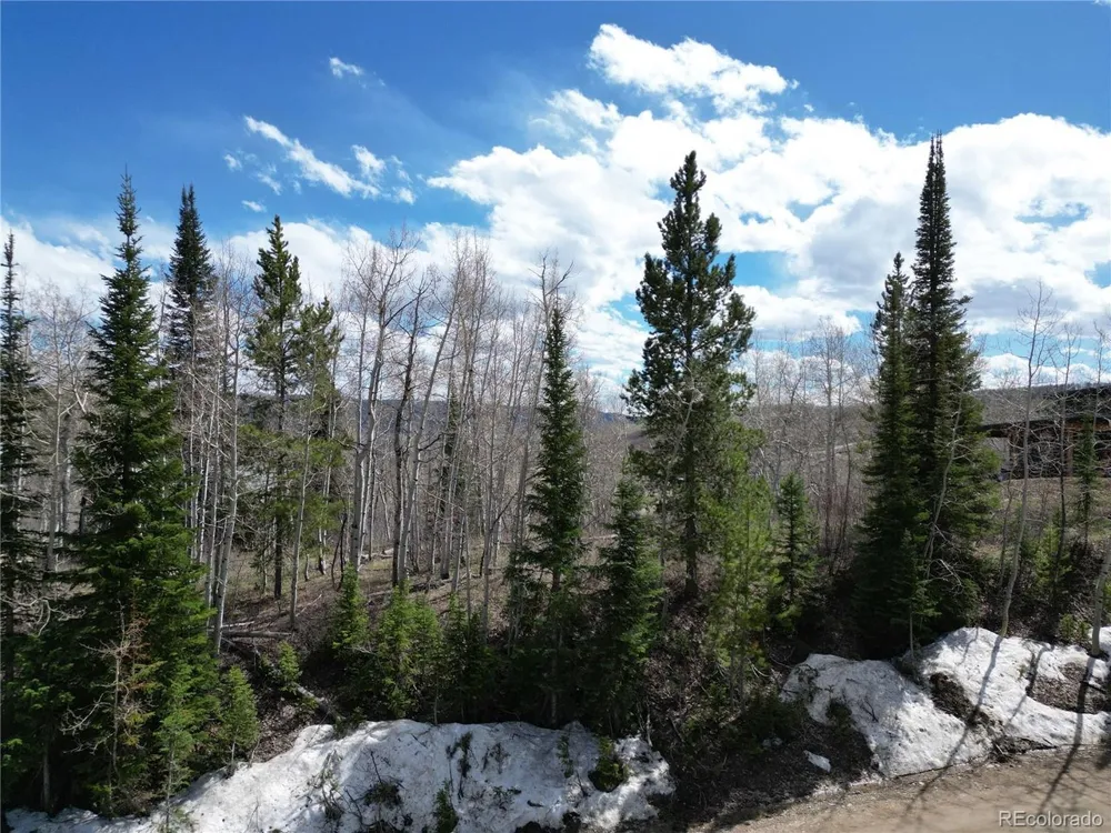 57960 Longfellow Way Clark, CO 80428