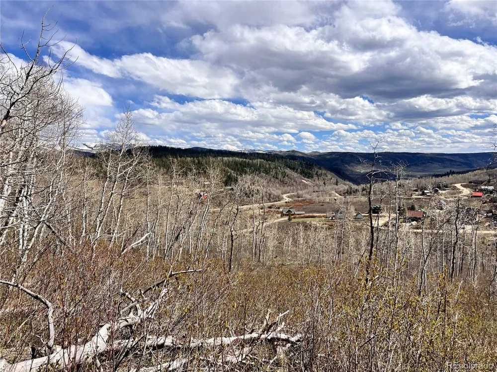 57960 Longfellow Way Clark, CO 80428