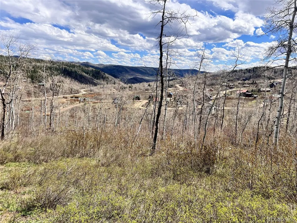 57960 Longfellow Way Clark, CO 80428