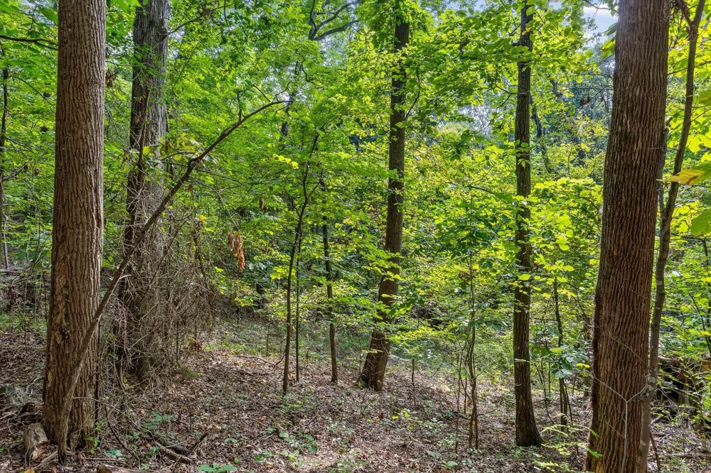 2255 Nickajack Road Flintstone, GA 30725