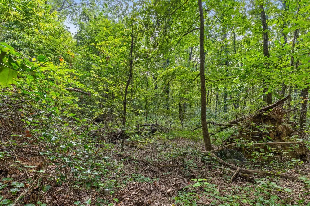 2255 Nickajack Road Flintstone, GA 30725