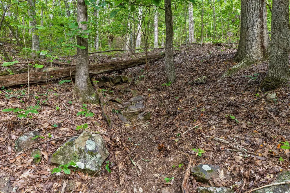 2255 Nickajack Road Flintstone, GA 30725