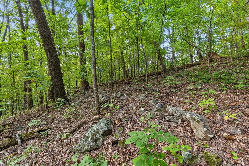 2255 Nickajack Road Flintstone, GA 30725