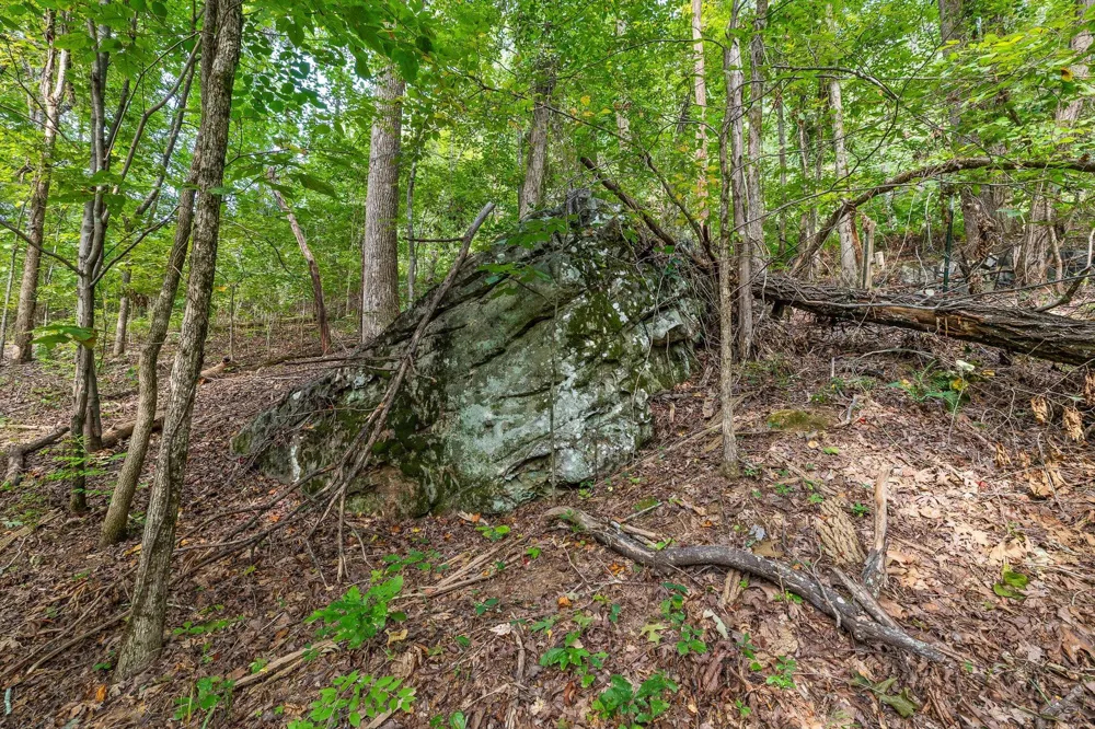 2255 Nickajack Road Flintstone, GA 30725