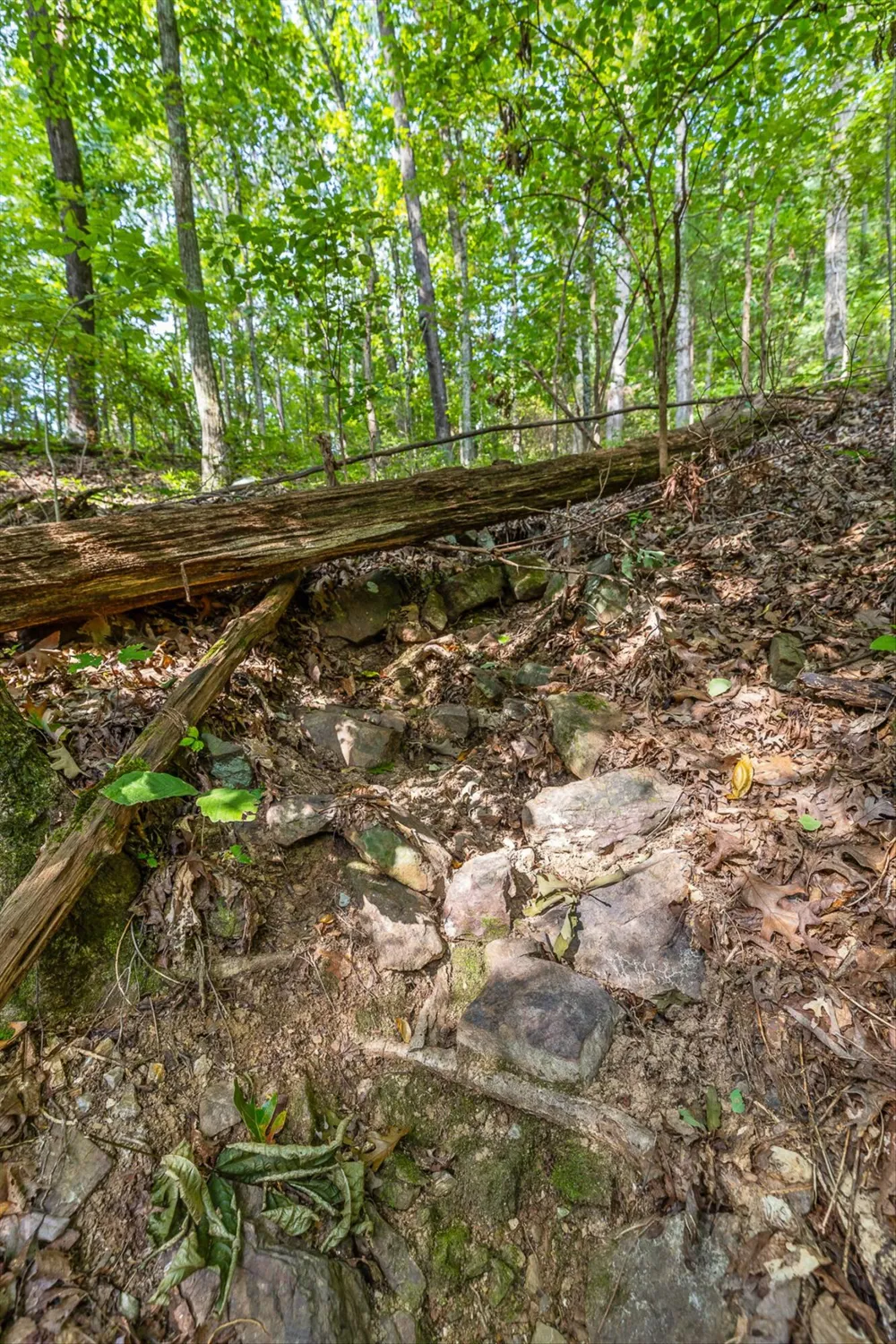 2255 Nickajack Road Flintstone, GA 30725