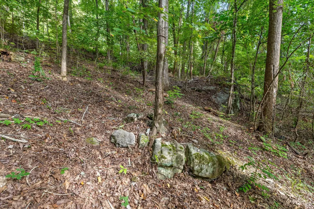 2255 Nickajack Road Flintstone, GA 30725