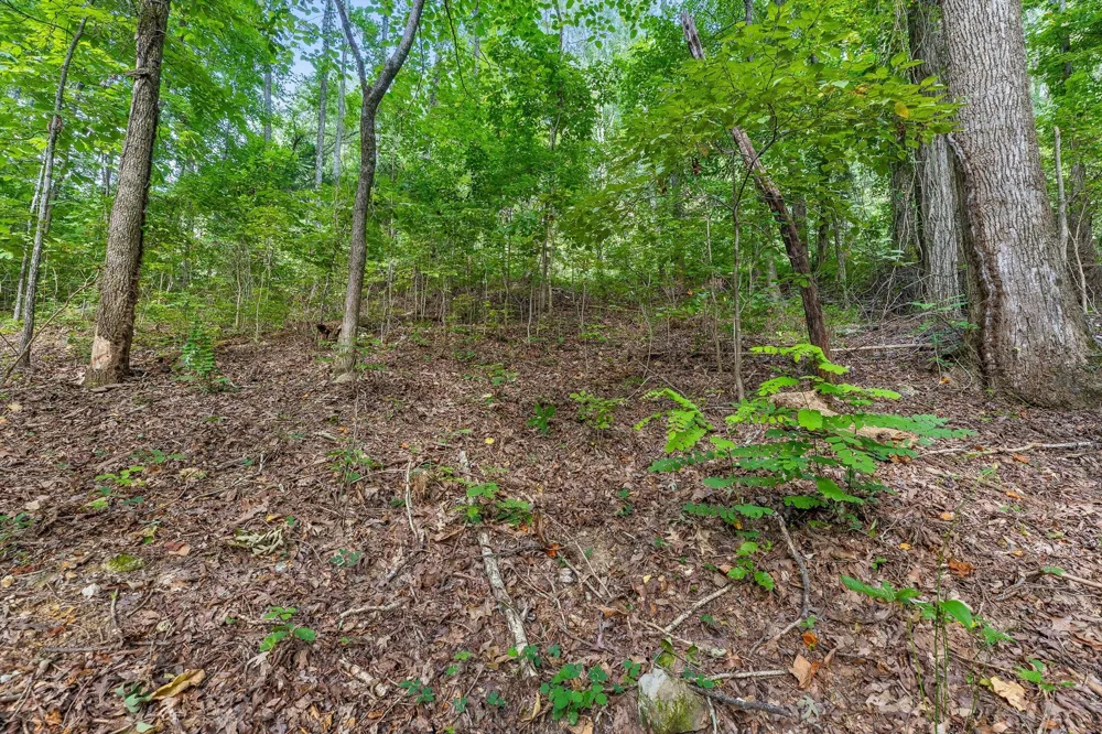 2255 Nickajack Road Flintstone, GA 30725