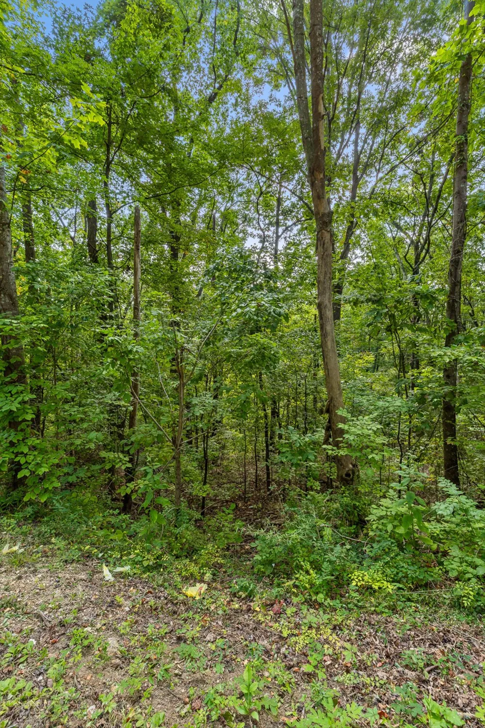 2255 Nickajack Road Flintstone, GA 30725