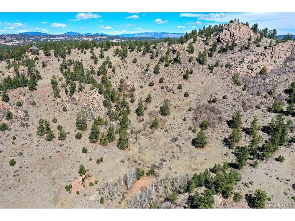 221 Floresta Florissant, CO 80816