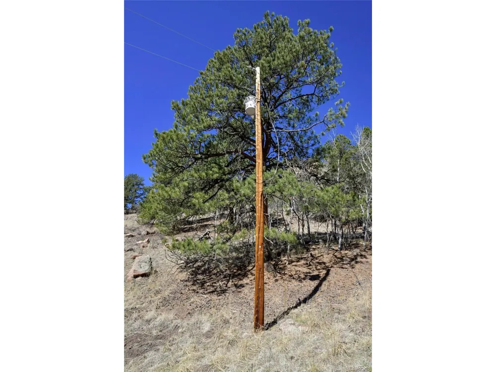 221 Floresta Florissant, CO 80816