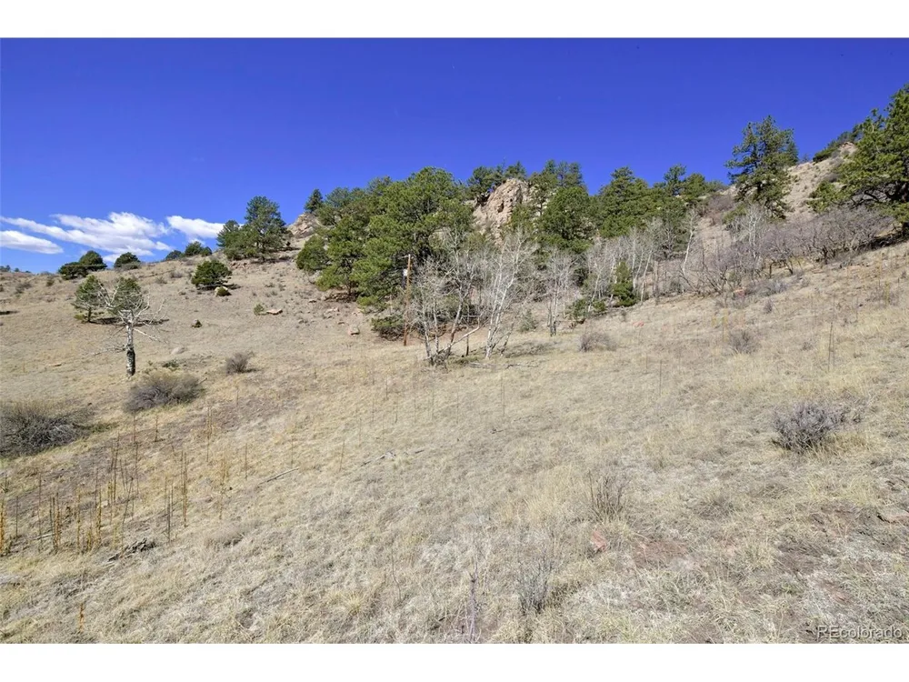 221 Floresta Florissant, CO 80816