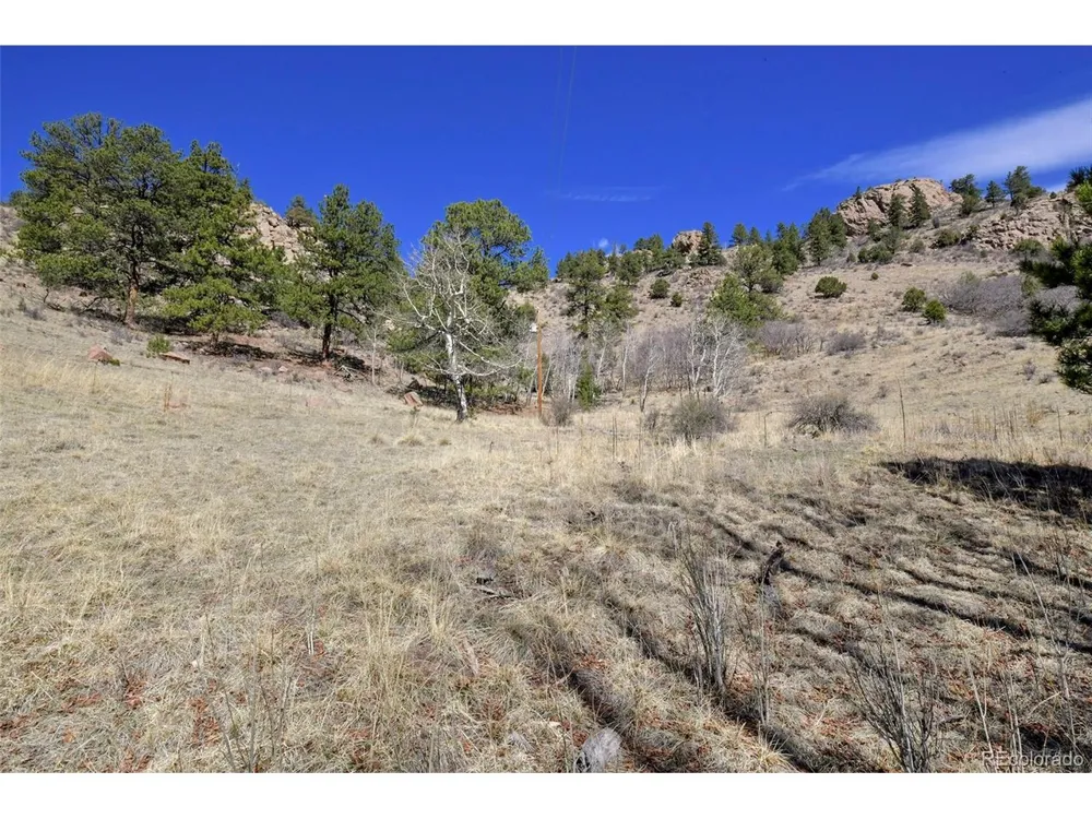 221 Floresta Florissant, CO 80816