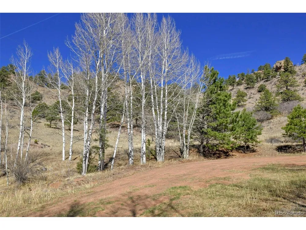 221 Floresta Florissant, CO 80816
