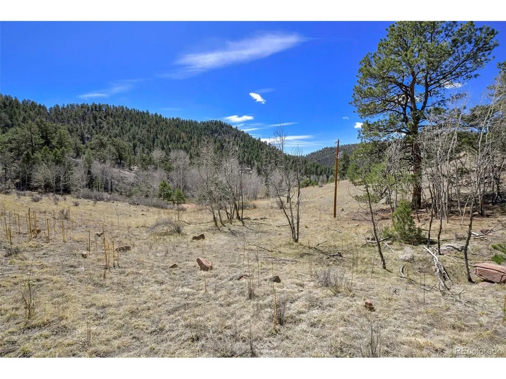221 Floresta Florissant, CO 80816