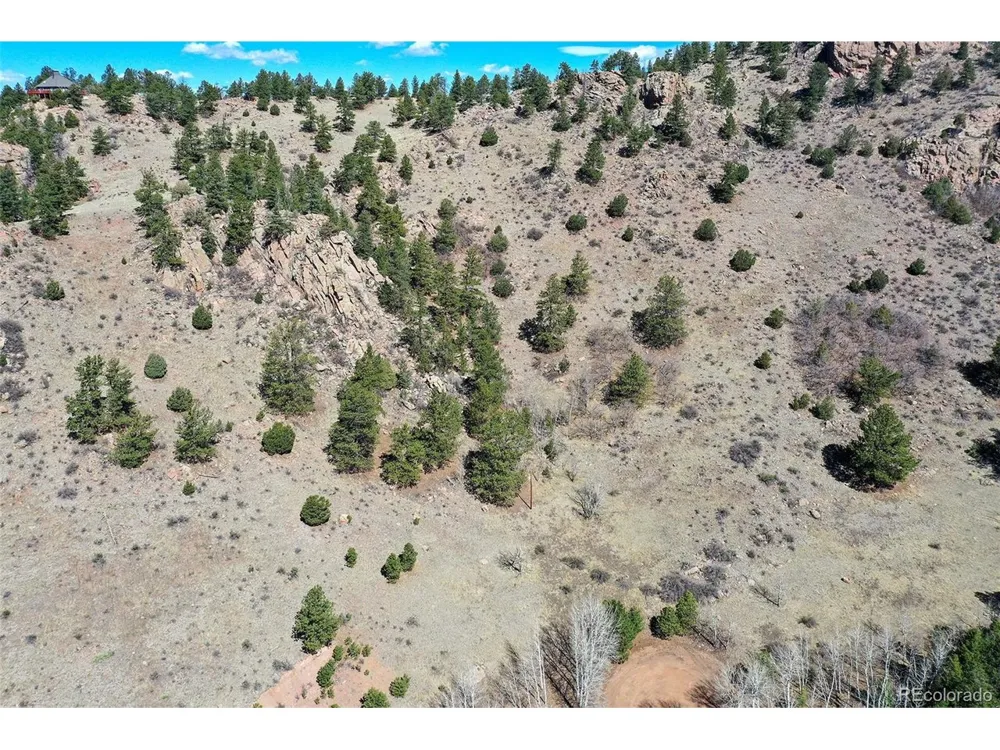 221 Floresta Florissant, CO 80816