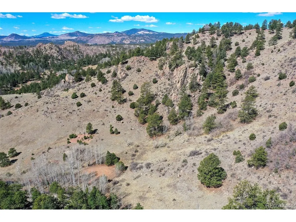 221 Floresta Florissant, CO 80816
