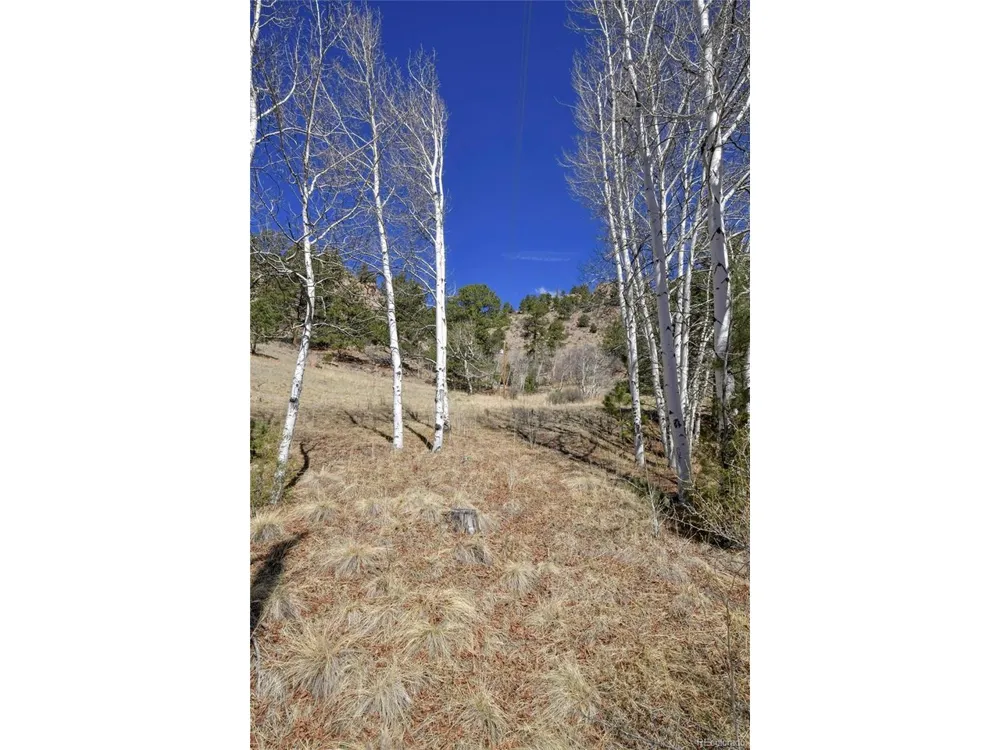 221 Floresta Florissant, CO 80816
