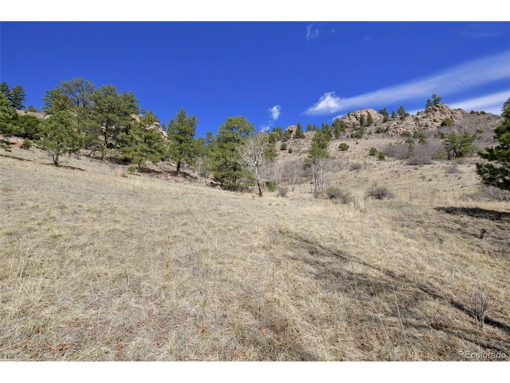 221 Floresta Florissant, CO 80816