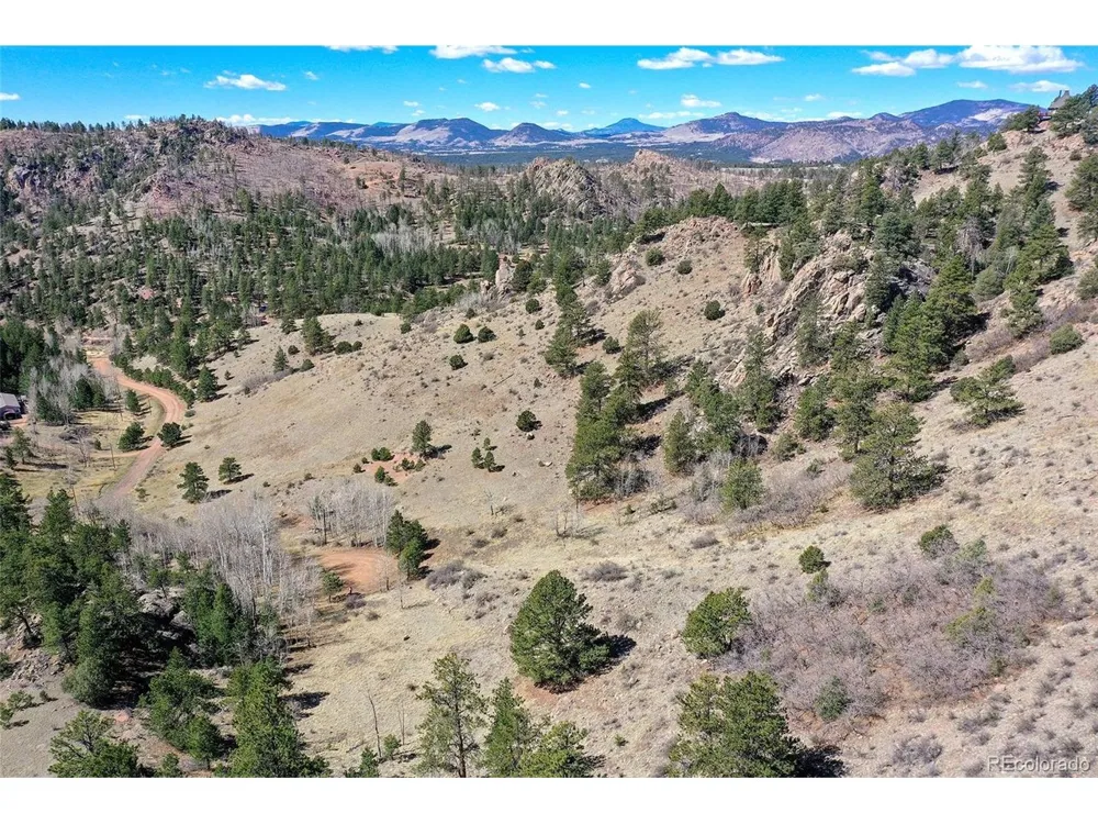 221 Floresta Florissant, CO 80816