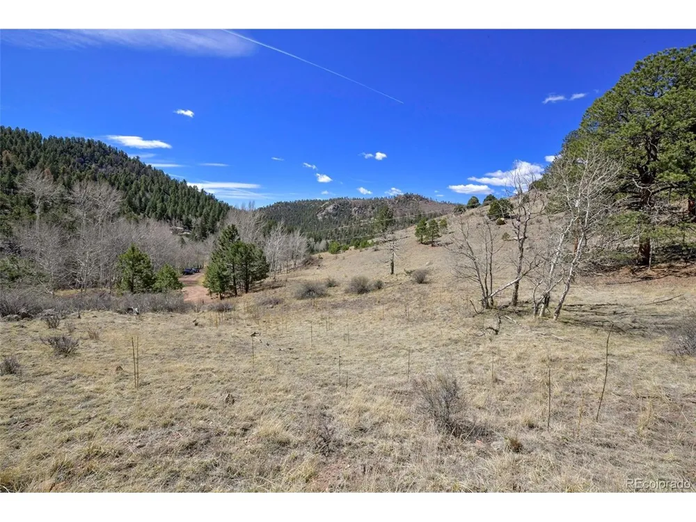 221 Floresta Florissant, CO 80816