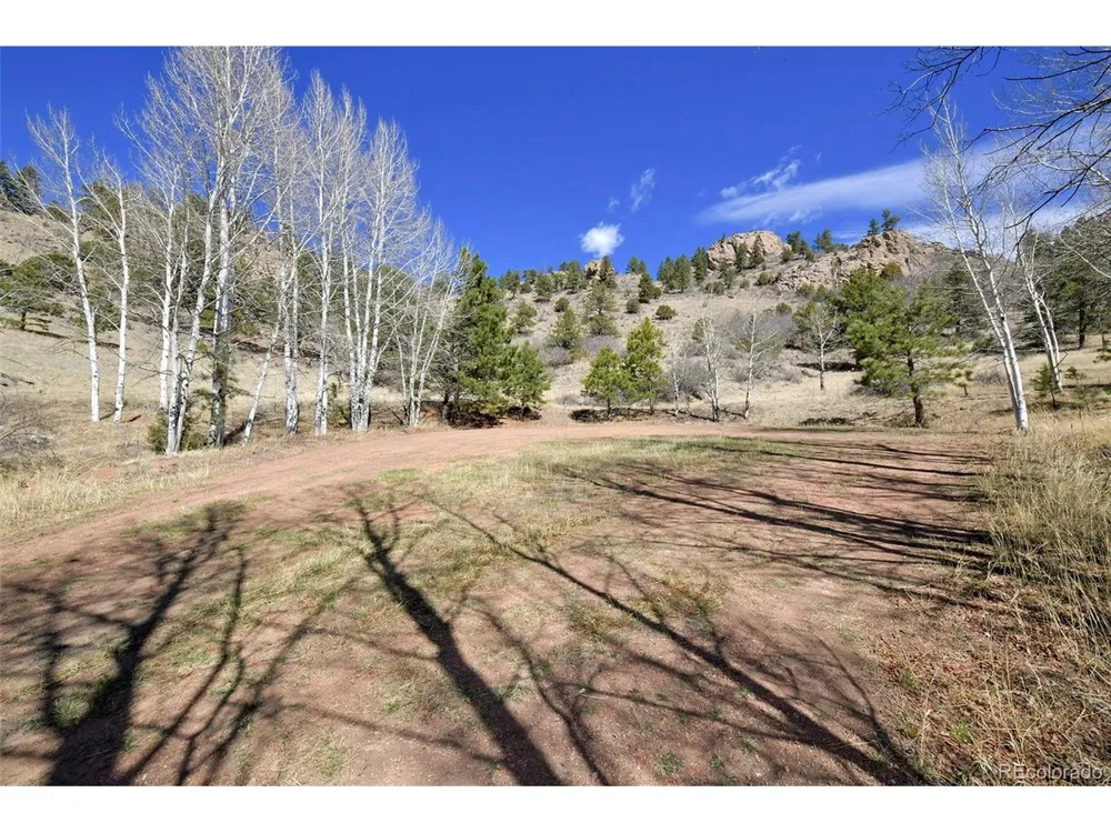 221 Floresta Florissant, CO 80816