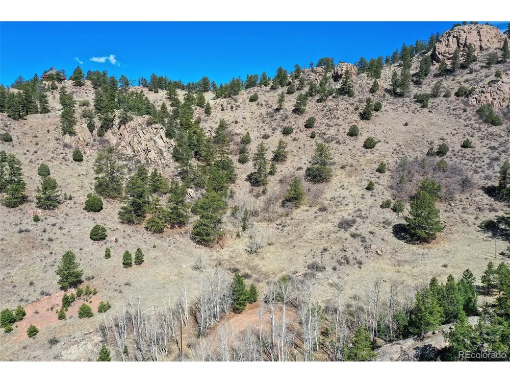 221 Floresta Florissant, CO 80816