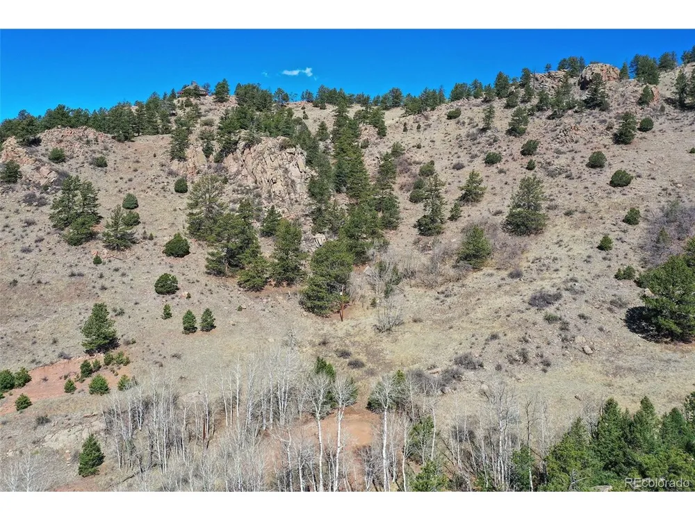 221 Floresta Florissant, CO 80816