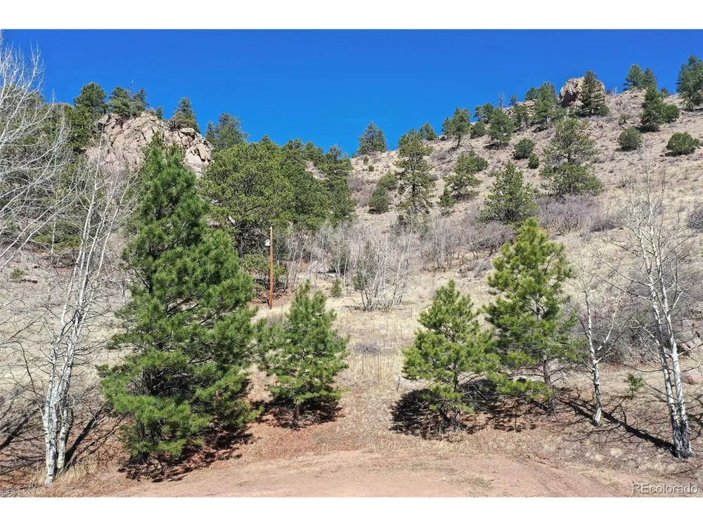 221 Floresta Florissant, CO 80816