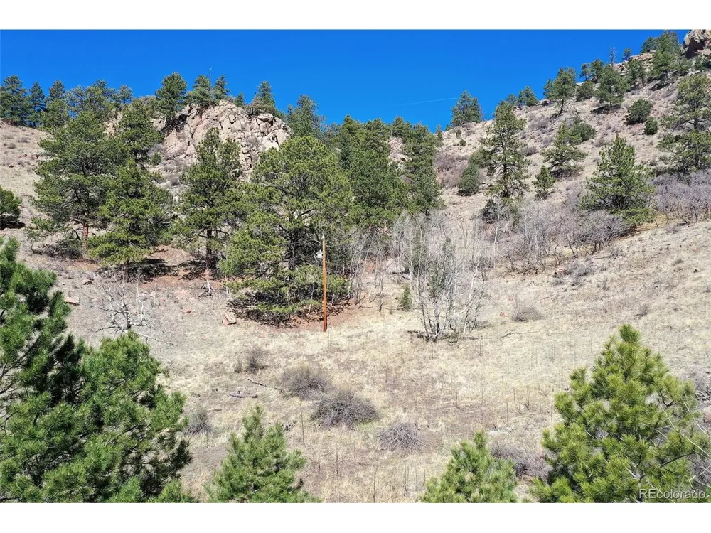 221 Floresta Florissant, CO 80816