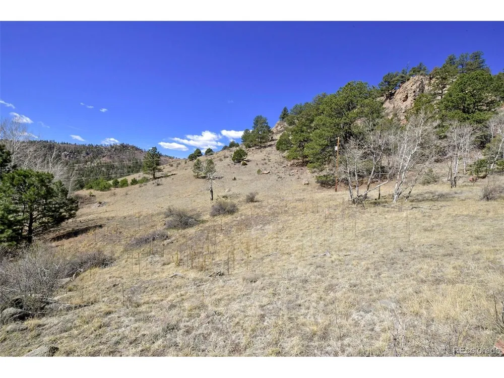 221 Floresta Florissant, CO 80816