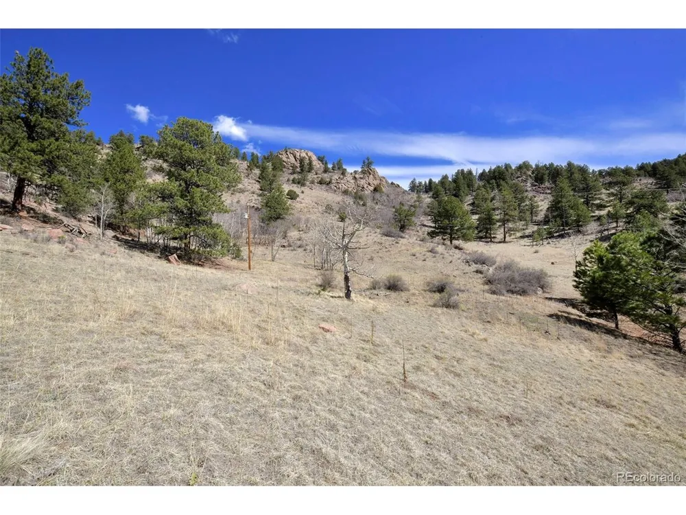 221 Floresta Florissant, CO 80816