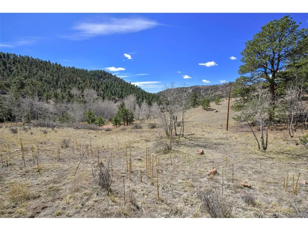 221 Floresta Florissant, CO 80816