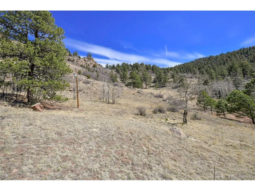 221 Floresta Florissant, CO 80816