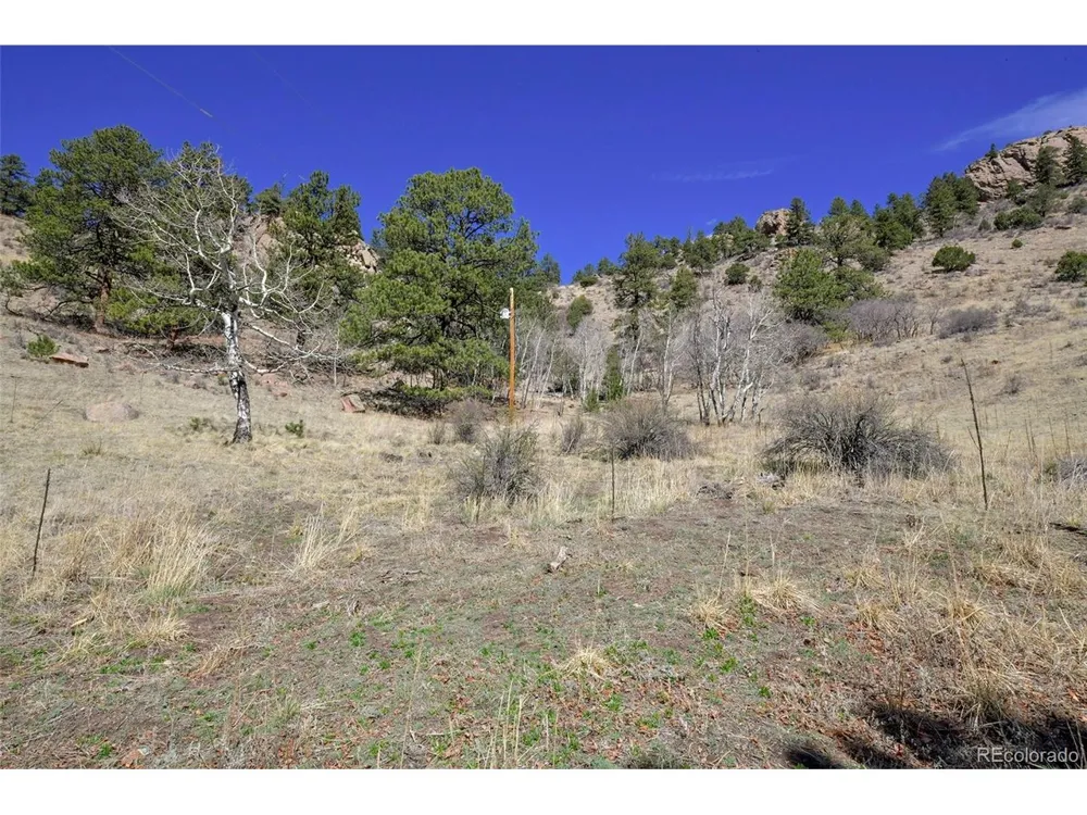 221 Floresta Florissant, CO 80816