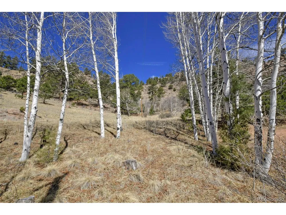 221 Floresta Florissant, CO 80816
