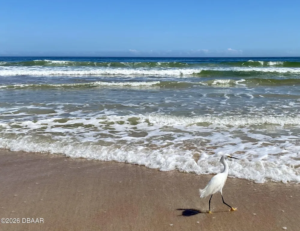 82 Calumet Avenue Ponce Inlet, FL 32127